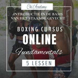 online cursus boksen, online kickboksen, online cursus muay thai, basis kickboksen, muay thai basics, kickboksen fundamentals, muay thai fundamenten