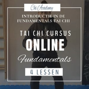online cursus tai chi, online cursus thai chi, online taiji, basis tai chi, thai chi basics, tai chi fundamentals, thai chi fundamenten